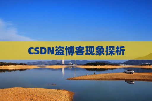 CSDN盗博客现象探析